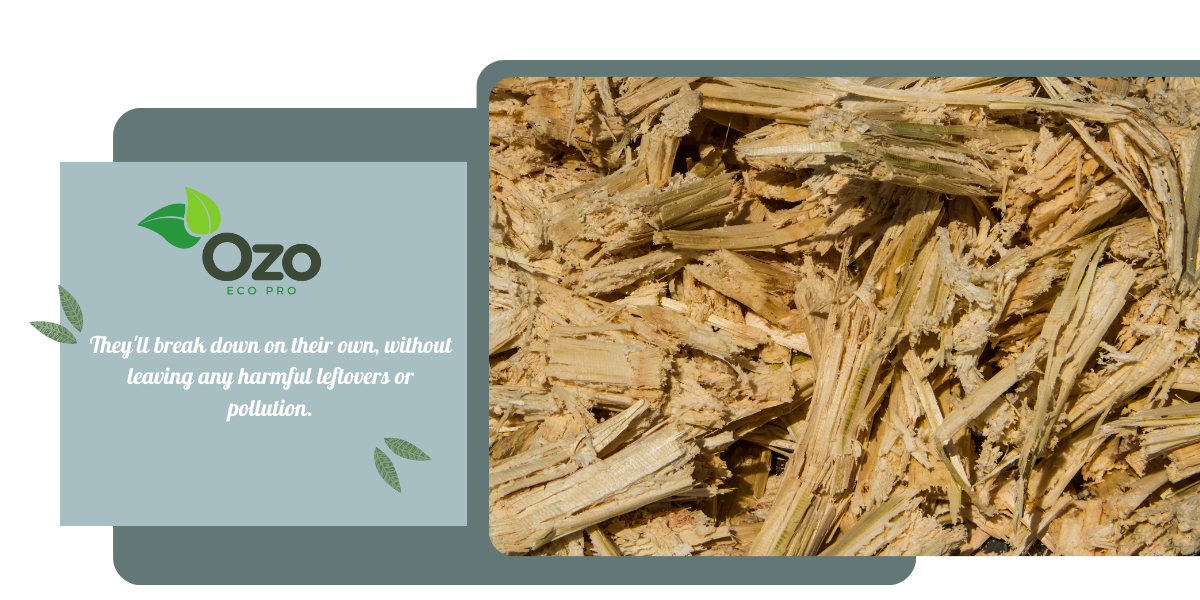 Compostable and Degradable Sugarcane Products
