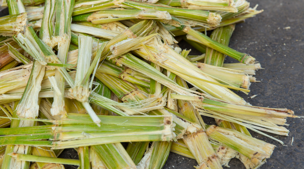 The Future of Disposable Plates