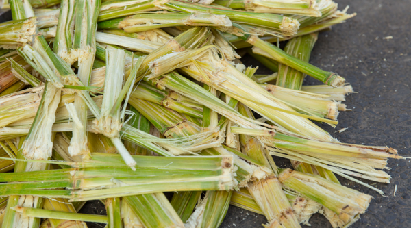 images shows broken sugercane that is going to be used to make sugercane bagasse plates.