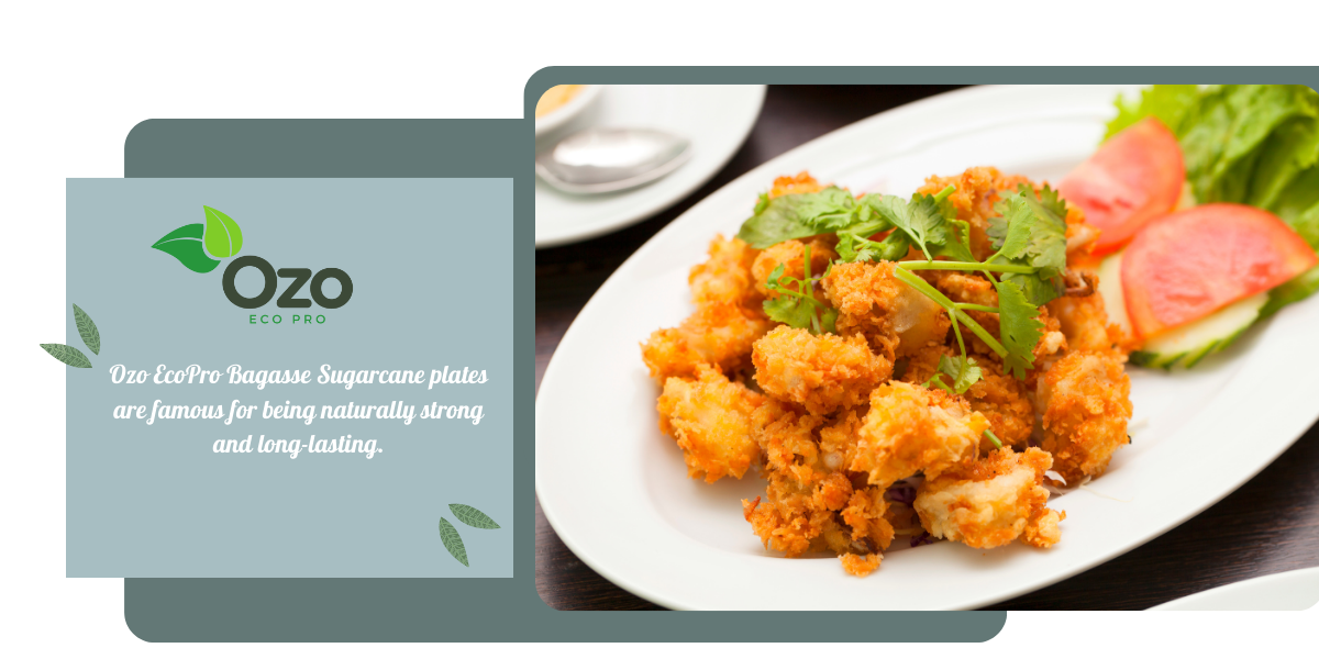 A delicious meal on an Ozo EcoPro Bagasse Sugarcane plate, showcasing the renowned natural strength and durability of these eco-friendly plates.