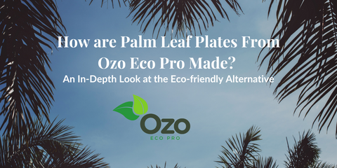 A picturesque background of palm trees frames the Ozo Eco Pro logo in the middle. Overlaid text reads: 'How are Palm Leaf Plates From Ozo Eco Pro Made? An In-Depth Look at the Eco-friendly Alternative.
