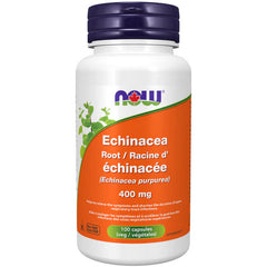 Bottle of Echinacea supplement capsules by Now Foods, displaying the product label with ingredient and dosage information