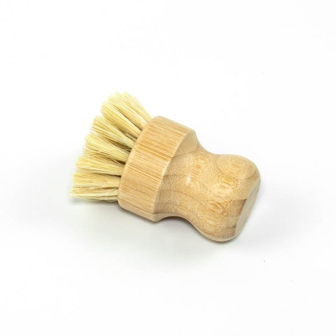 Counter Brush with Wood Handle-Black Coconut fibers- Wholesale