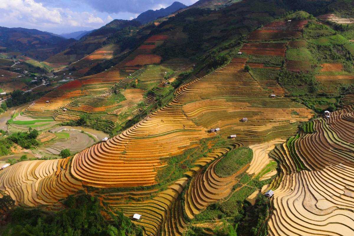 where bamboo cutlery is made