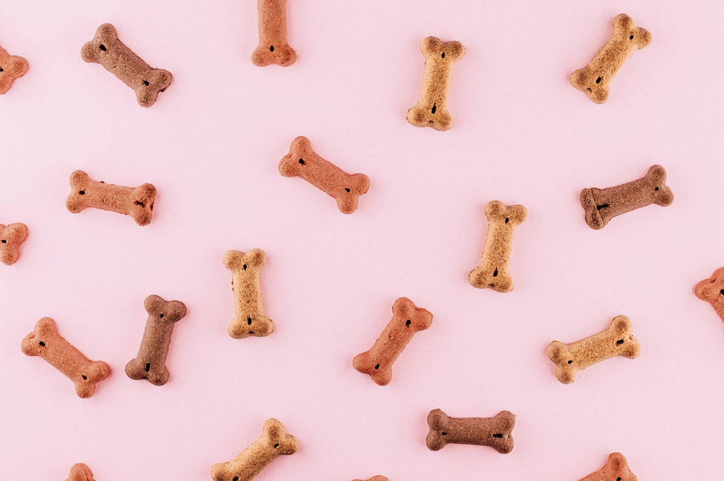 are milkbone dog biscuits bad for your dog