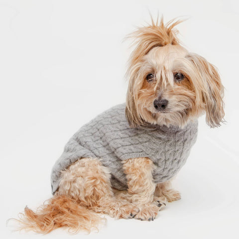 https://cdn.shopify.com/s/files/1/0197/1244/2432/files/dog_and_co_sweater_480x480.jpg?v=1604861984