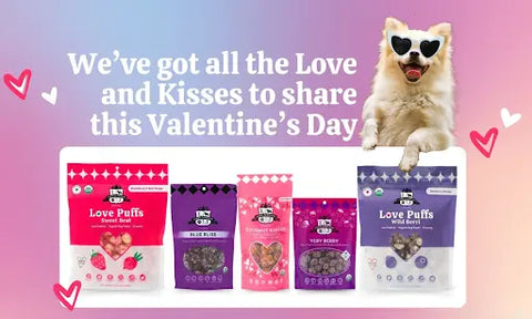 Dog treats with a smiling dog wearing heart-shaped sunglasses | Lord Jameson