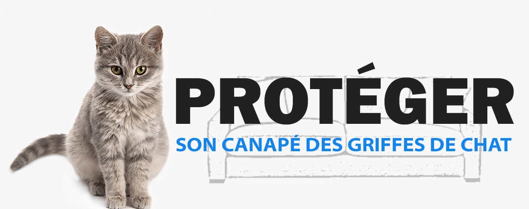 Comment Proteger Son Canape Des Griffes Chat Housse Design