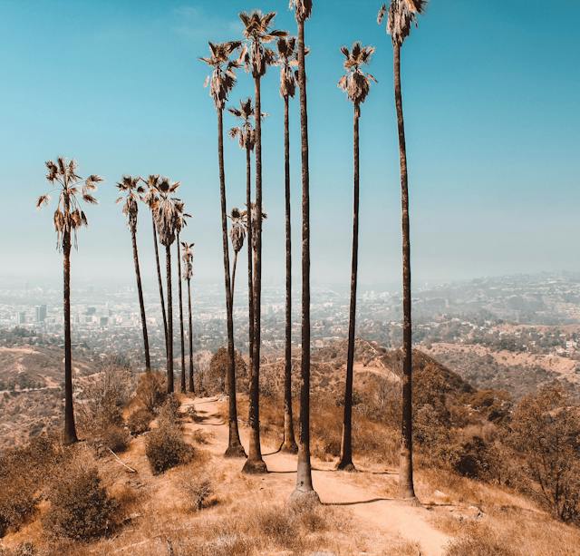 vue de ville en californie dans un désert aride