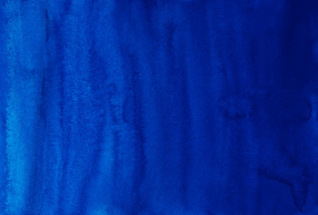tissu canapé velours bleu marine