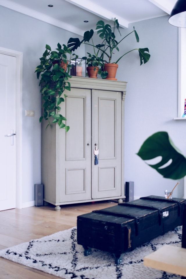 armoire rangement maison avec plantes vertes
