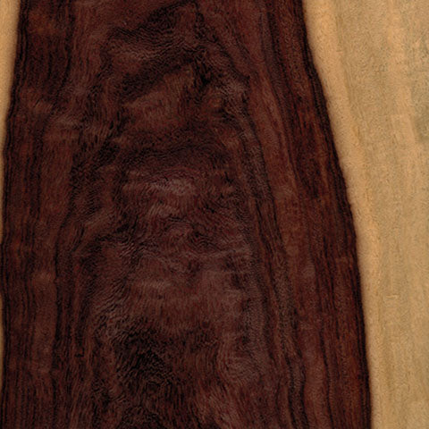 Katlox (Mexican Ebony) 4/4