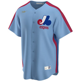 Nike Youth MLB Toronto Blue Jays Vlad Guerrero Jr. Alternate2 Jersey