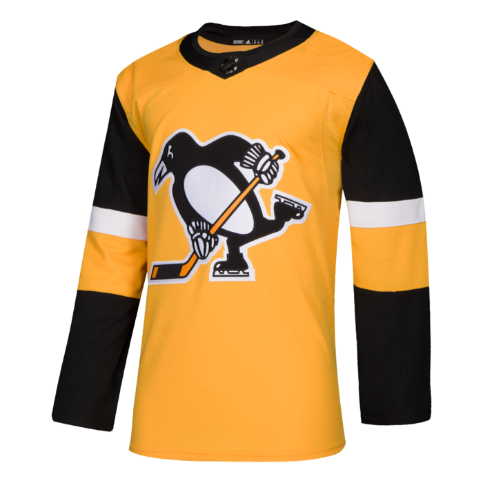 pittsburgh penguins alternate jersey
