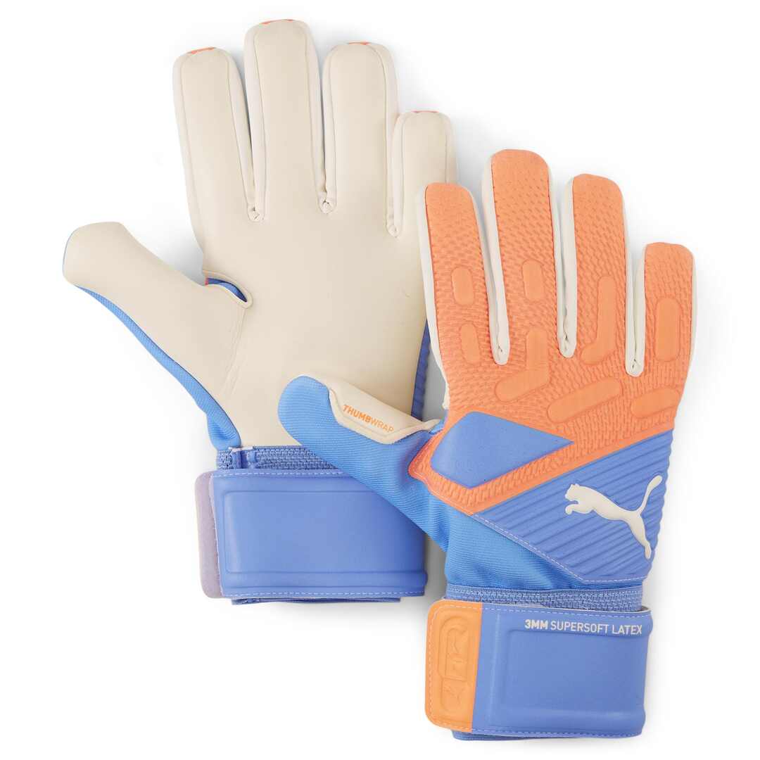 Puma goalkeeper gloves  Current models and special offers