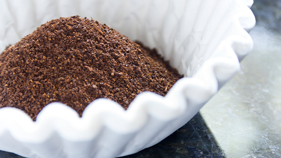 How to use a Filter Coffee Machine and brew the perfect coffee