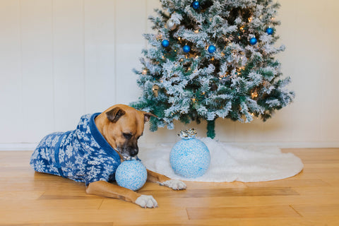 A dog sitting under a Christmas tree with the limited-edition Snow Globe Jolly Soccer Ball from Jolly Pets