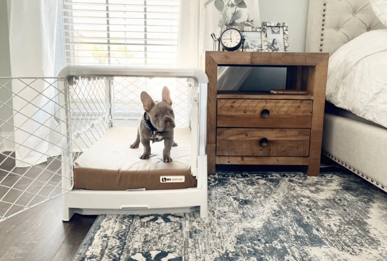 Big Barker Orthopedic Crate Bed