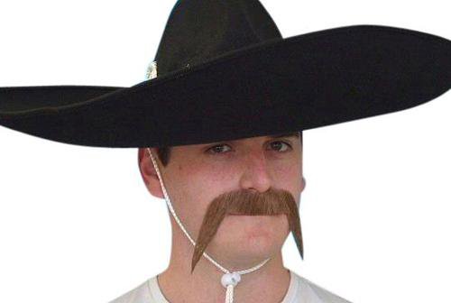 cowboy bandit costume