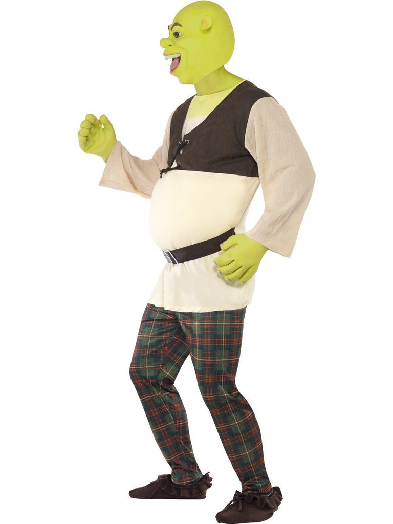 shrek mirror costume