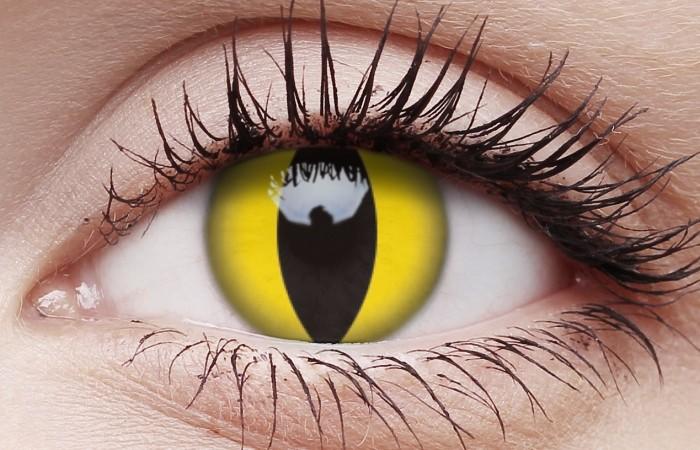 Cat Eye Contact Lenses Multi Use Halloween Contacts ...