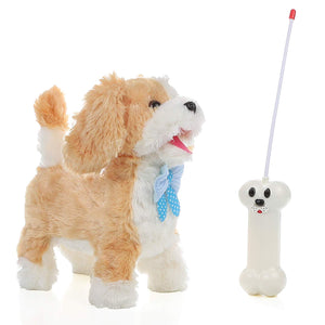 remote dog toy