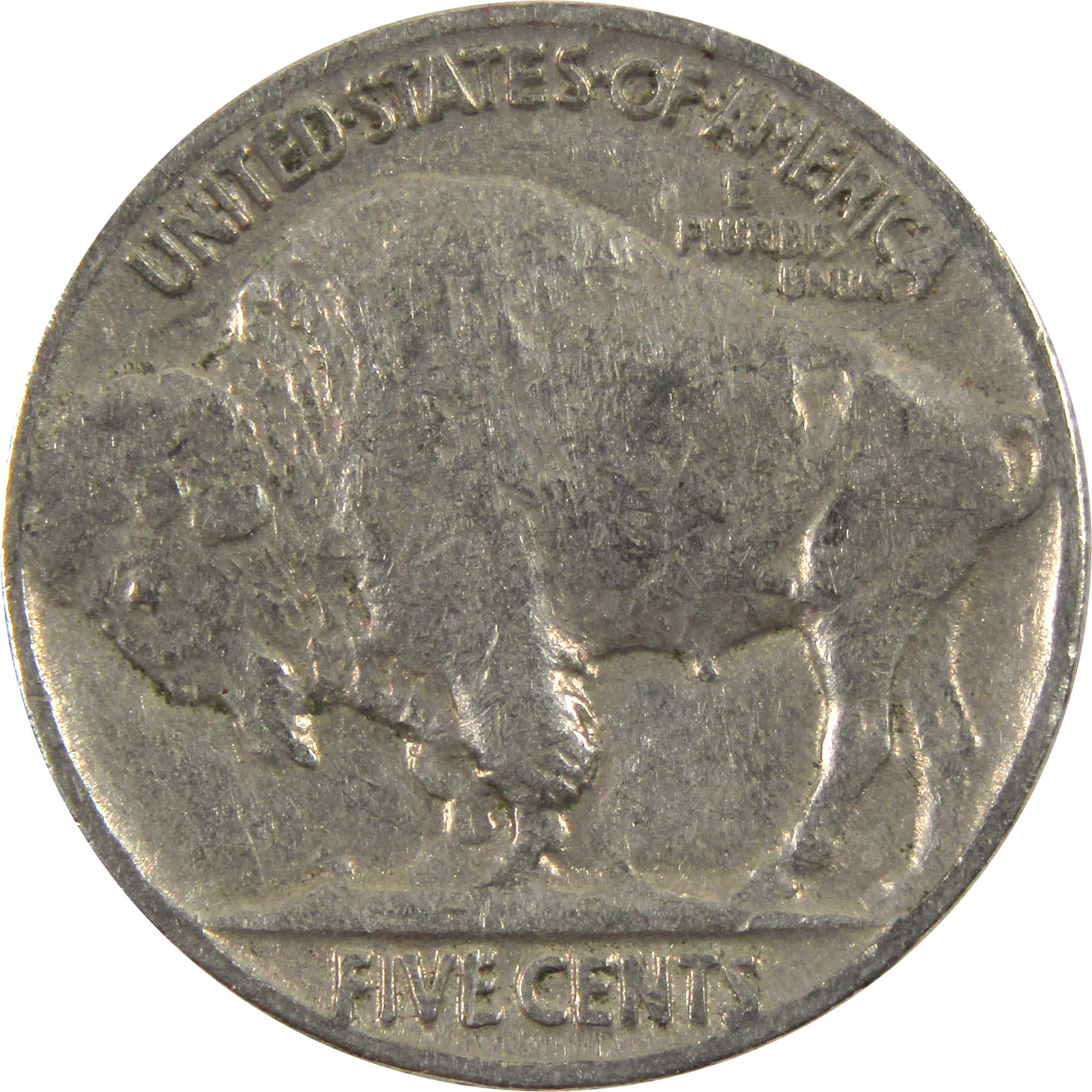 Buffalo Nickels Collection