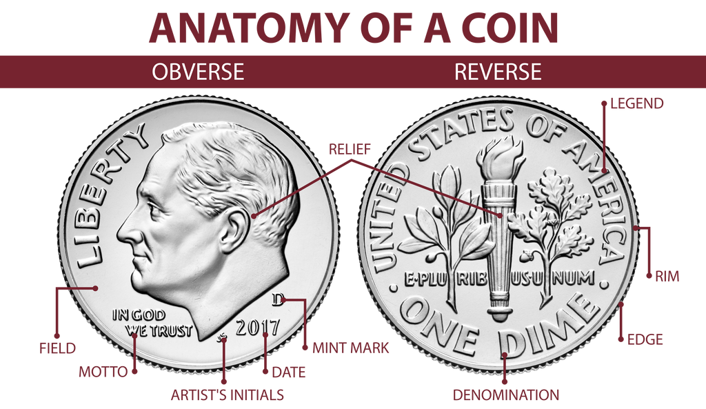 Anatomy of a Coin