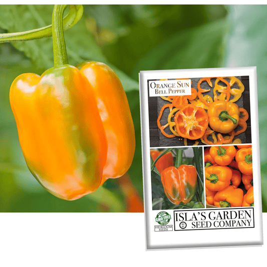 Big Red Bell Pepper – MIgardener