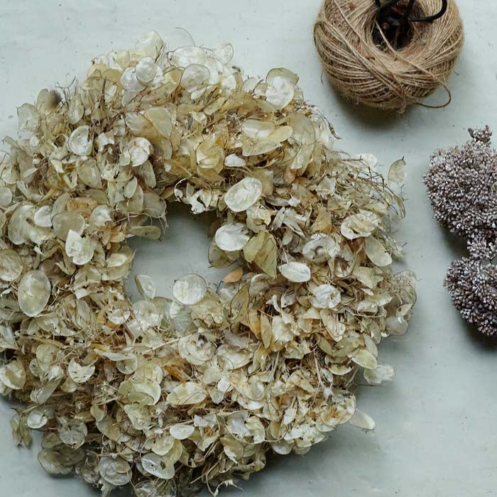 Dried Lunaria Wreath