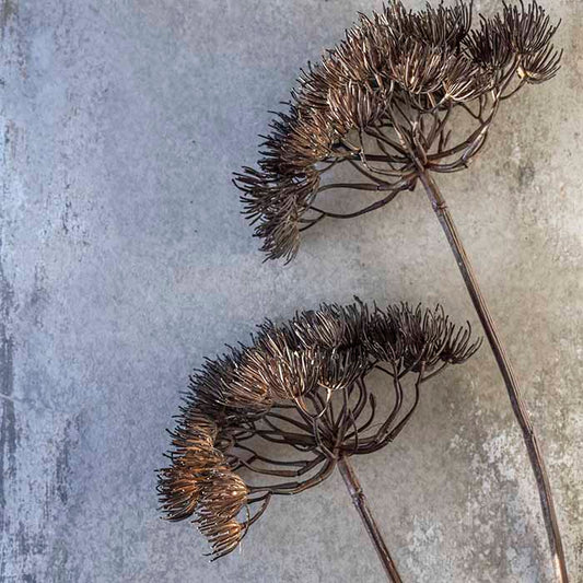 Two artificial brown seed head stems on a rustic brown background.