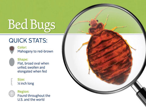 Bed Bug Control Product Catalog