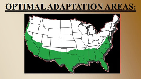 Optimal Adaptation Areas