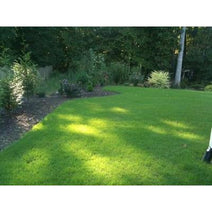 Common Bermuda Grass Seed (Raw Hulled) Nav Image 1