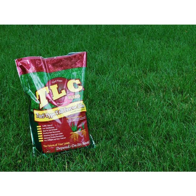 Lesco Tall Fescue All Pro Transition Blend Grass Seed 25 Lbs Seed World