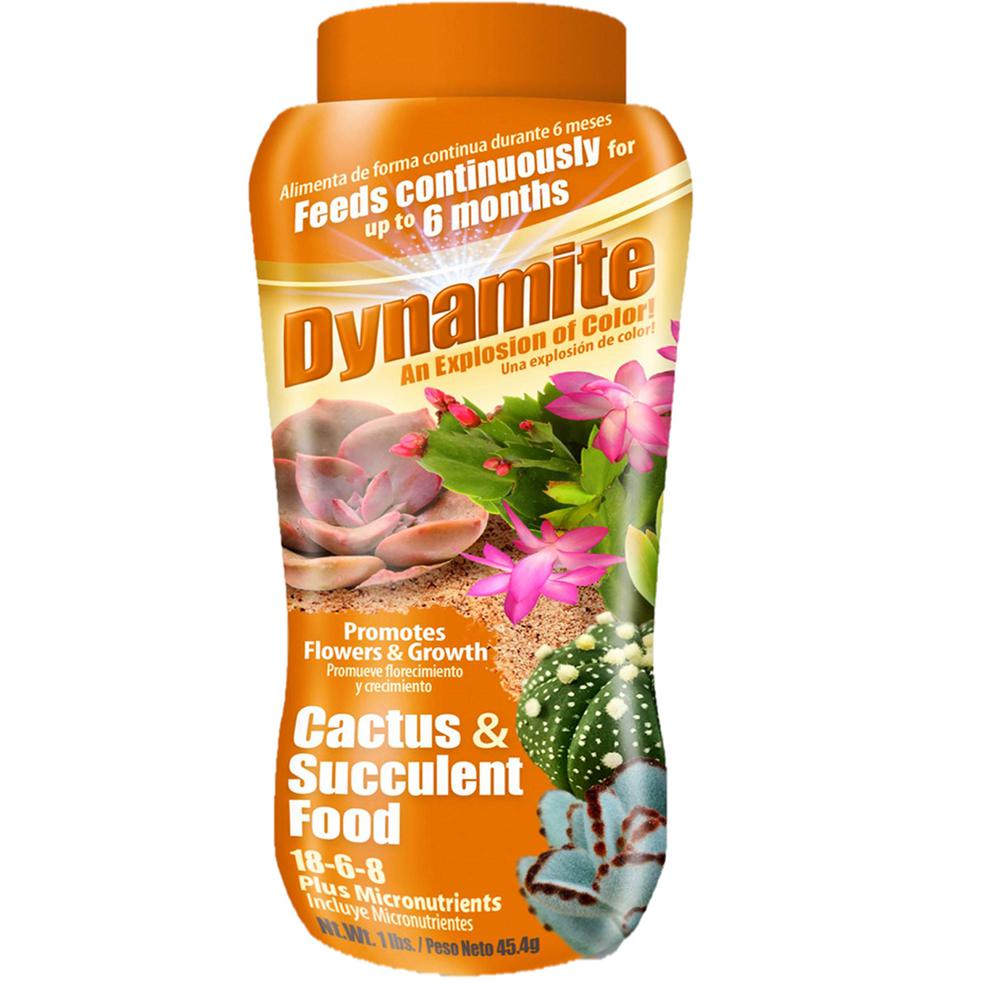 Dynamite Cactus & Succulent Food 18-6-8 - 1lb | Seed World