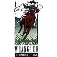 Wrangler Bermuda Grass Seed | Cold Tolerant Pasture Grass | Seed World