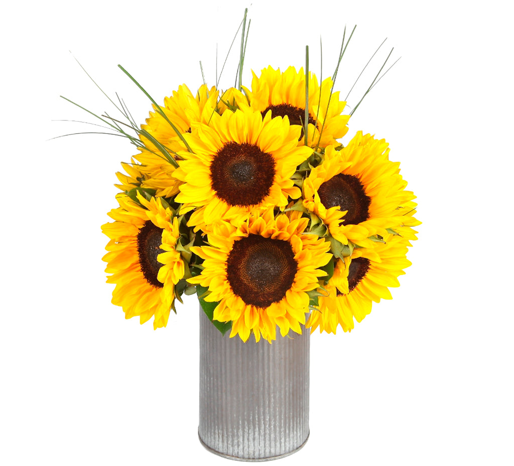 Farmer's Choice – Sunflowerguy.com