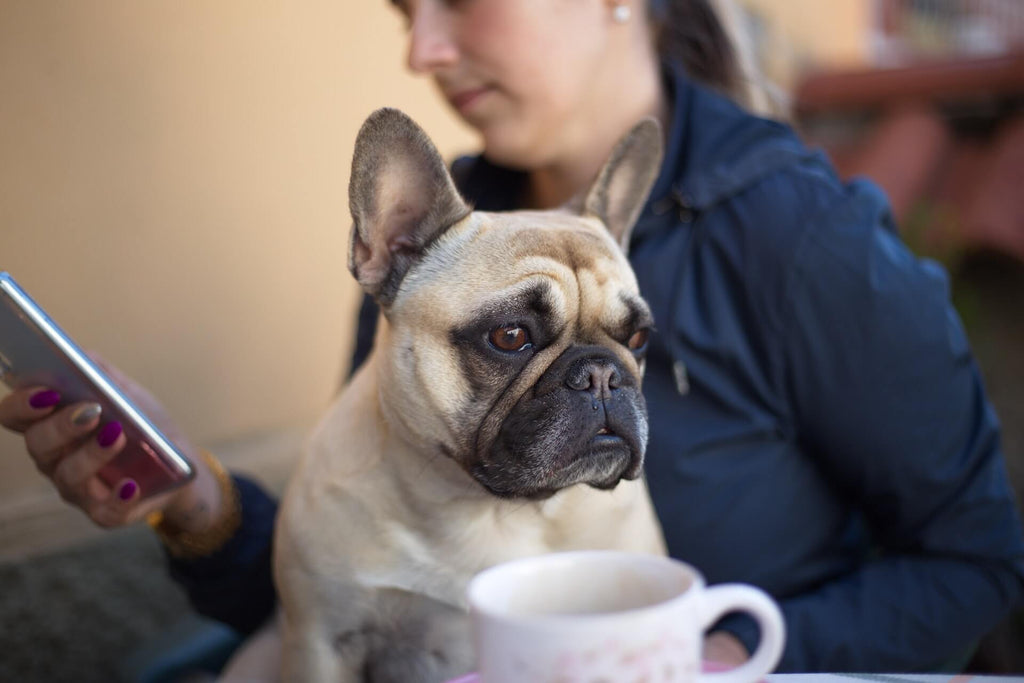 EMF-radiation-woman-dog