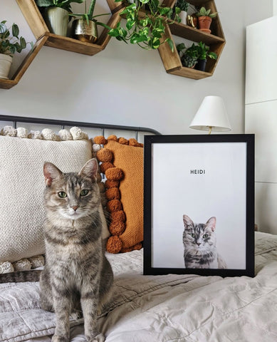 custom-cat-portraits