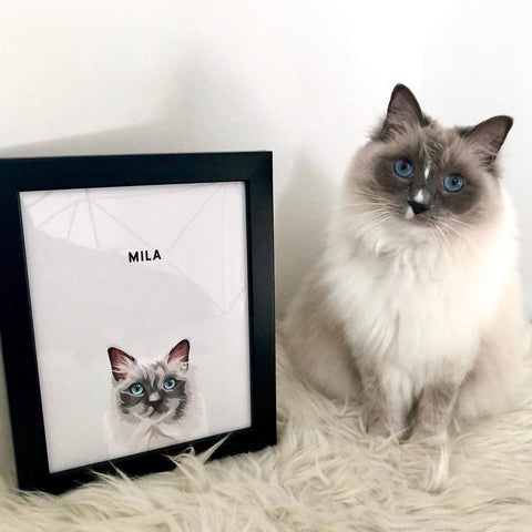 cat-paintings