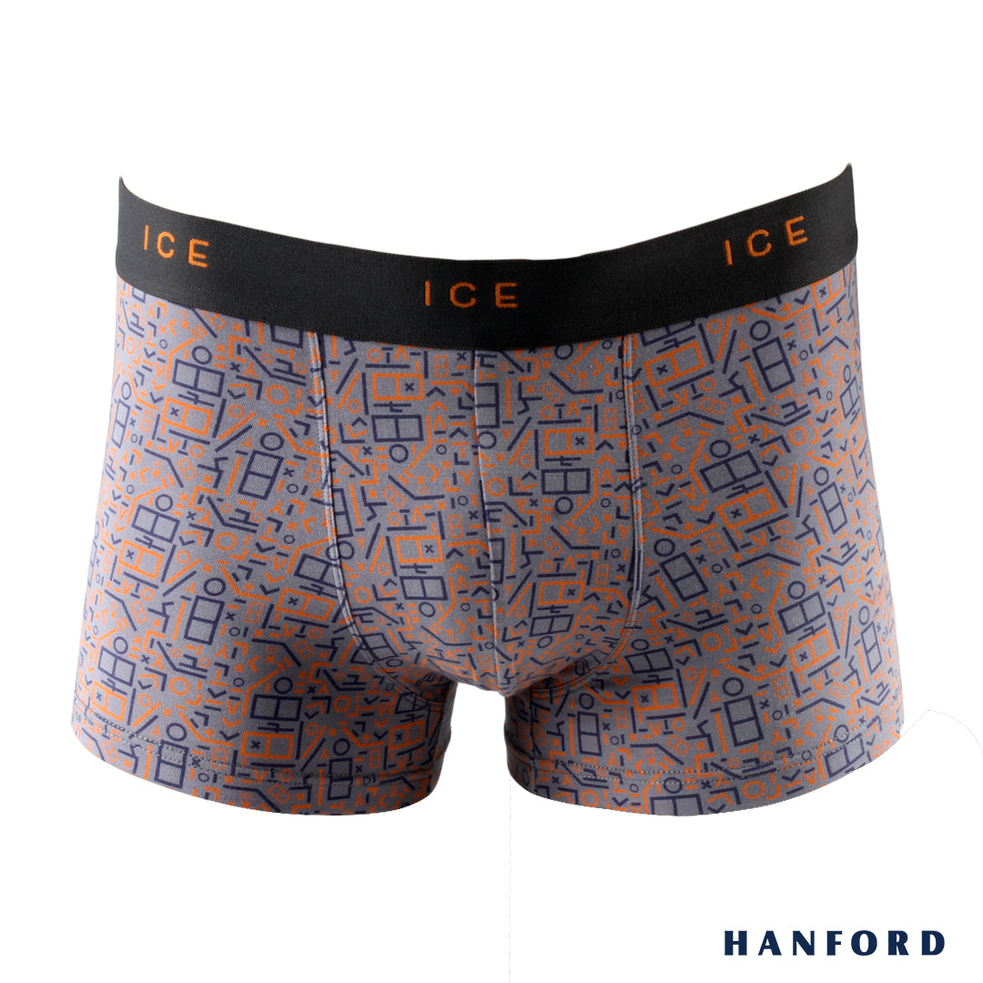 Hanford iCE Men Viscose w/ Spandex Boxer Briefs Mecha Print - PuritanG –  HANFORD