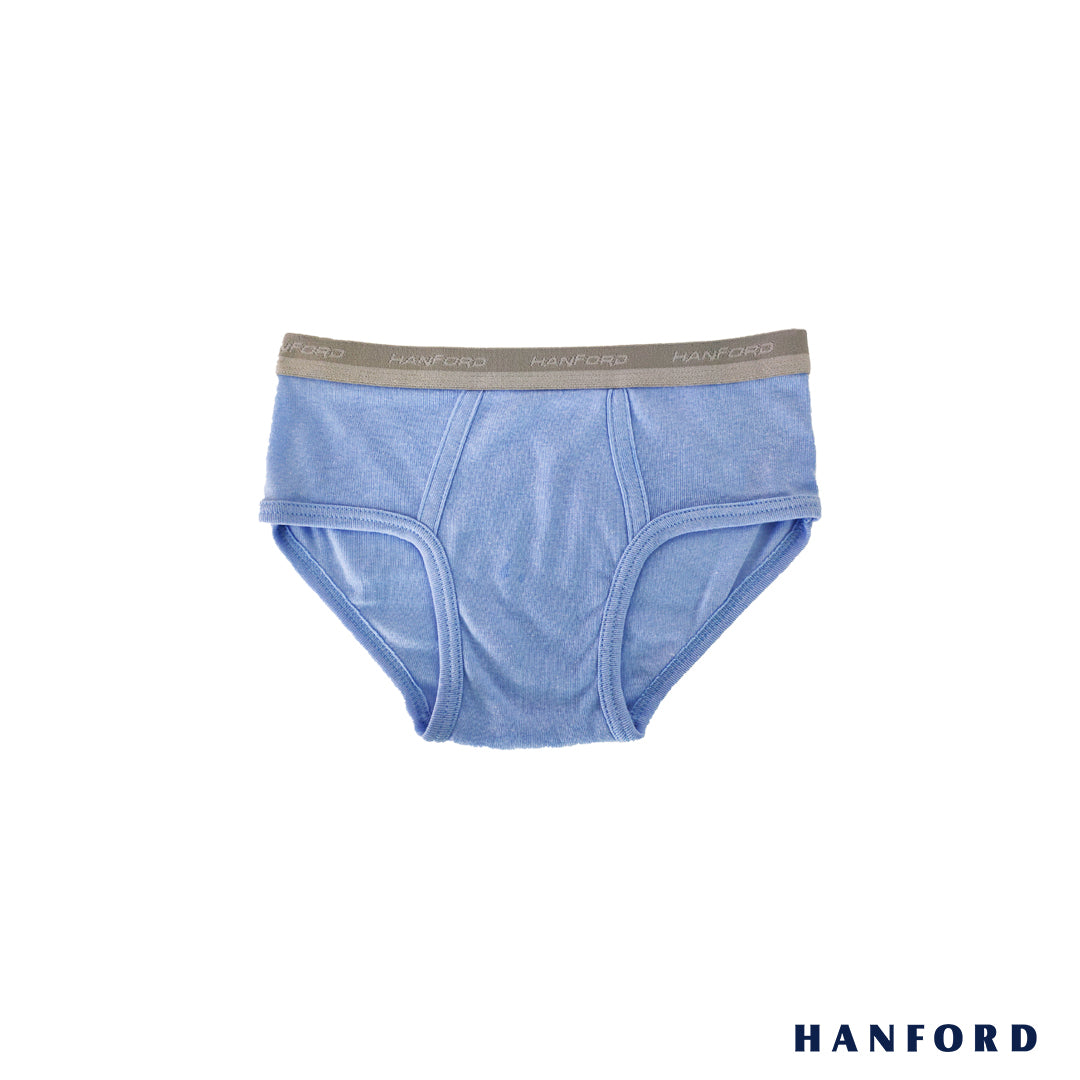 Hanford Kids/Teens Premium Cotton Hipster Briefs Kairo - Assorted (3in ...