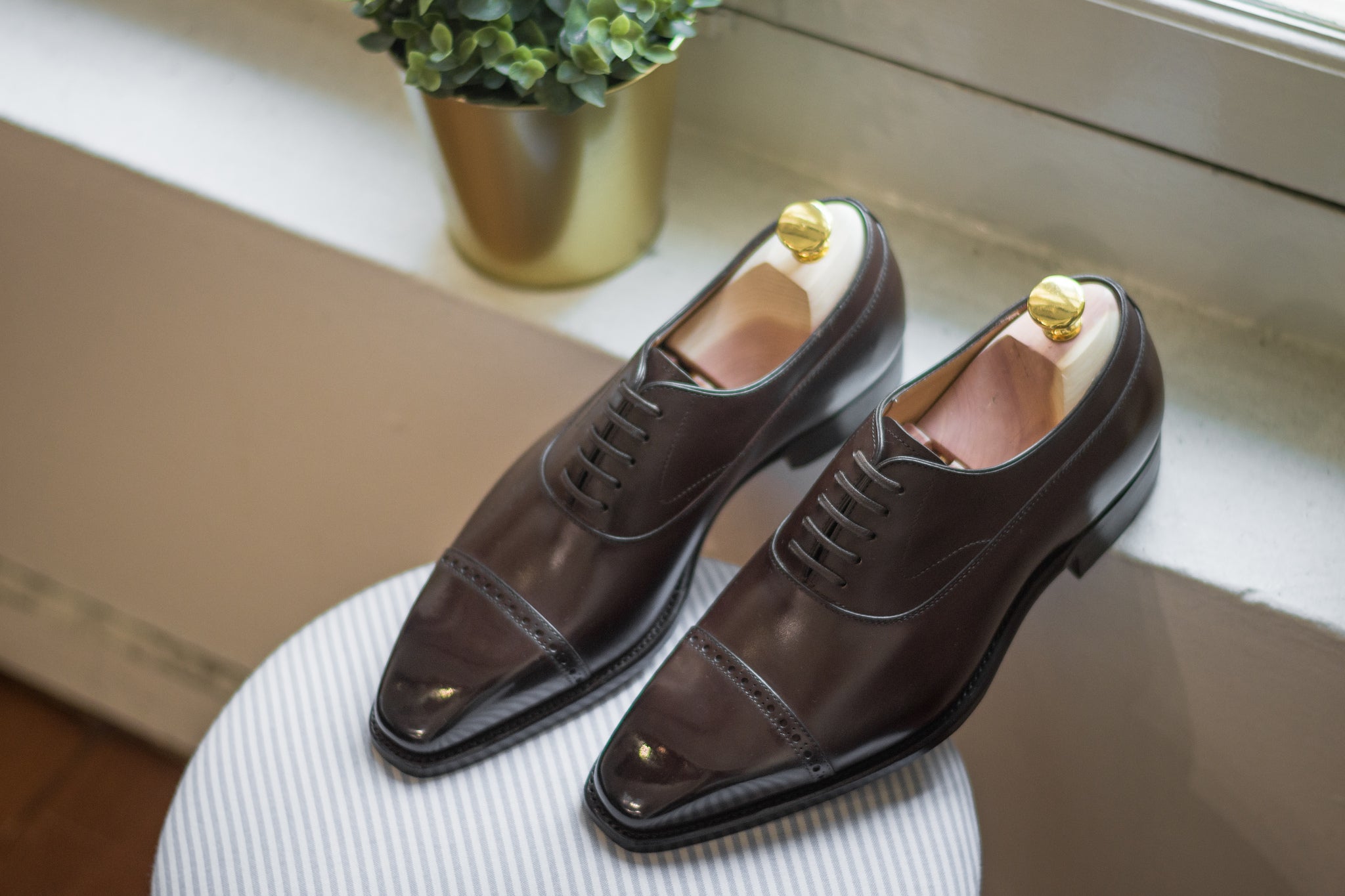 carlos santos cap toe oxford