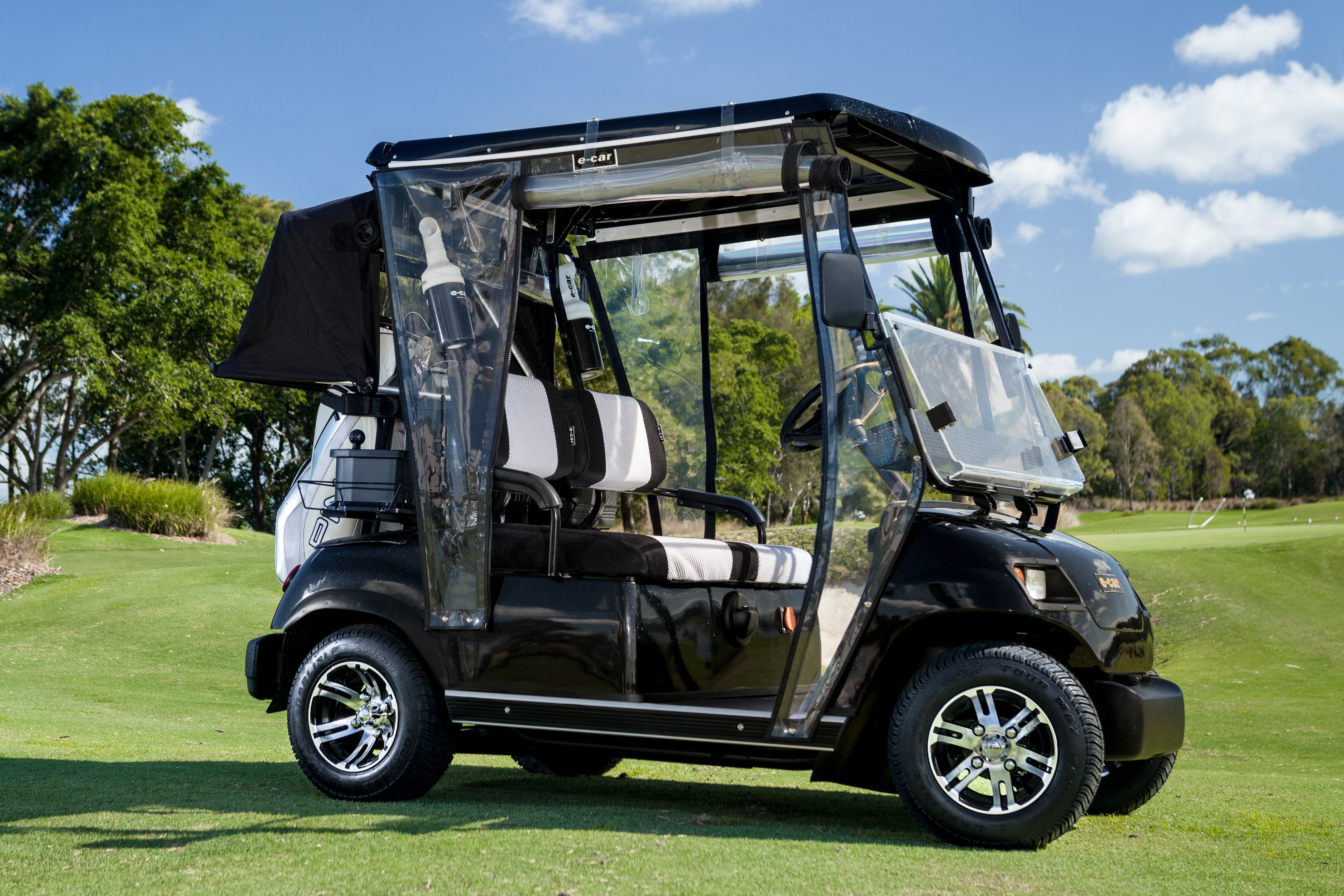 golf cart business plan