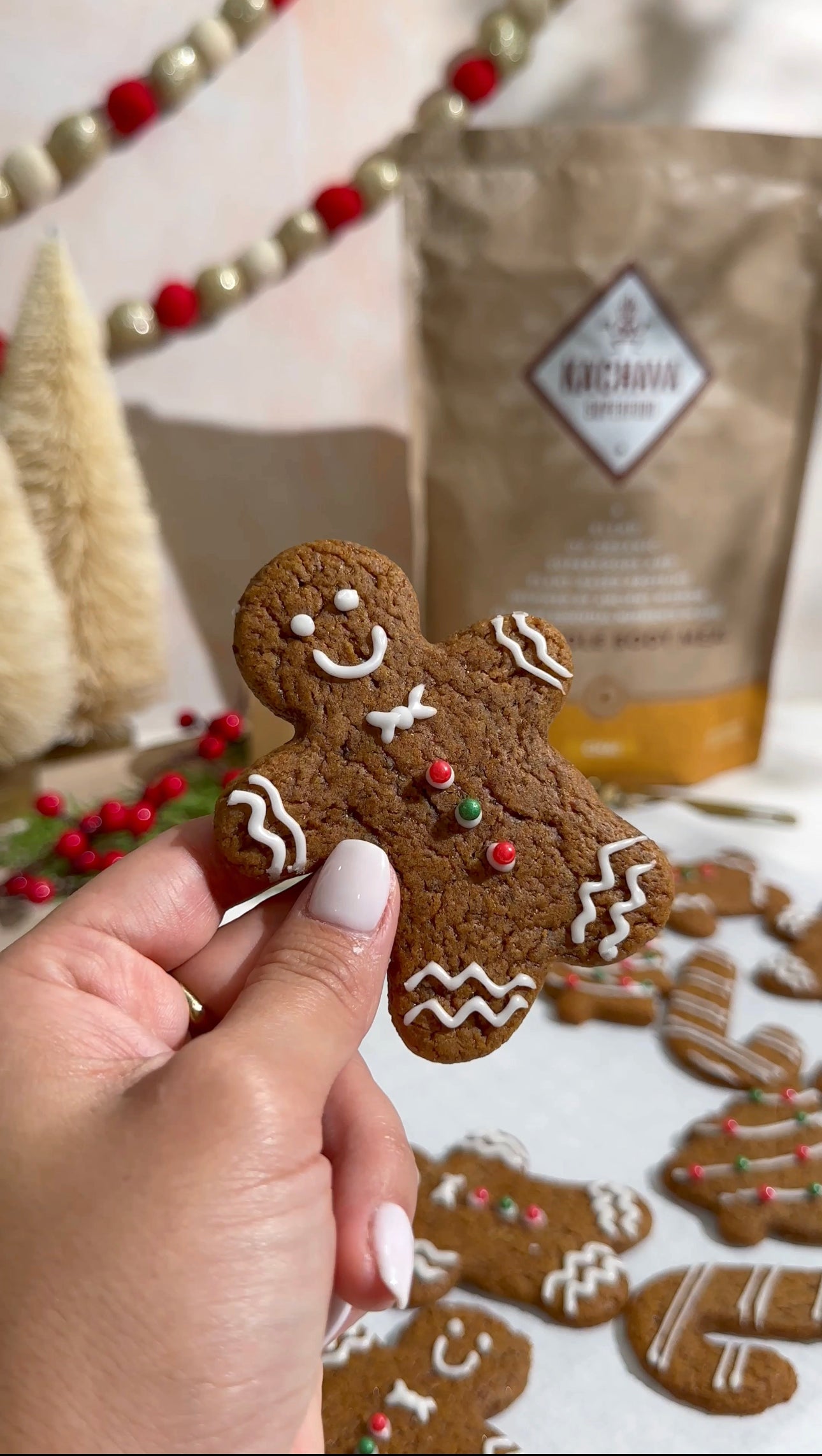 Gingerbread Protein Cookies