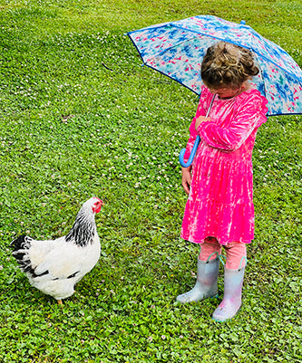 ritchie family tradition feeding our chicken flock