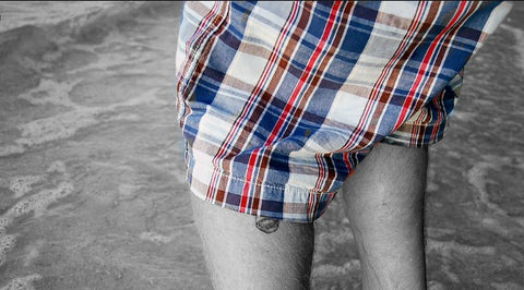 Best Madras Shorts