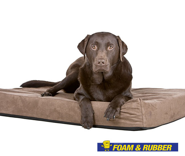 Dog Bed