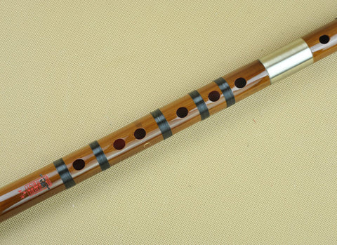 Buy Concert Grade Bitter Bamboo Flute Chinese Dizi Instrument with Accessories 2 Sections